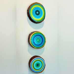3 Large Tree Rings Custom made
Abstract Paintings on Rescued Trees